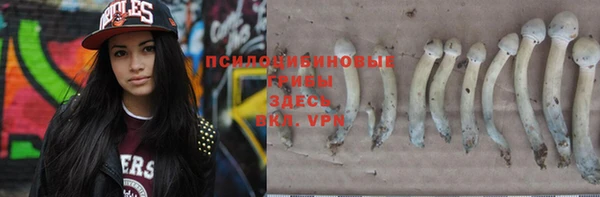 метадон Армянск