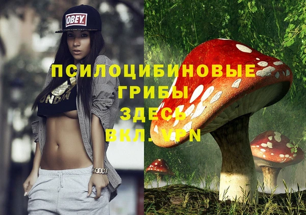 амф Арсеньев
