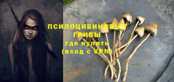 метадон Армянск