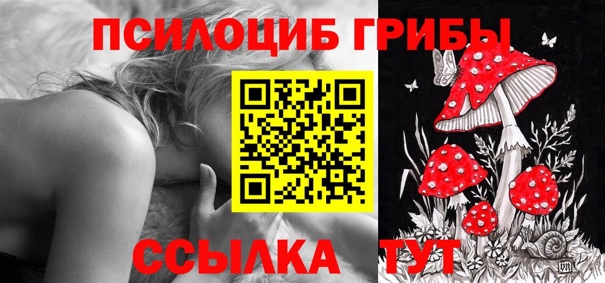 Кирово-Чепецк  сколько стоит  Вход с VPN  Галлюциногенные грибы MAGIC MUSHROOMS 