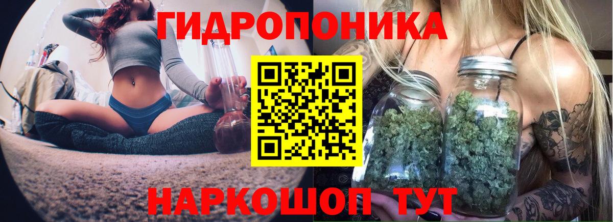 Бошки марихуана OG Kush  Вход с VPN  Шишки марихуана ГИДРОПОН  Кирово-Чепецк 
